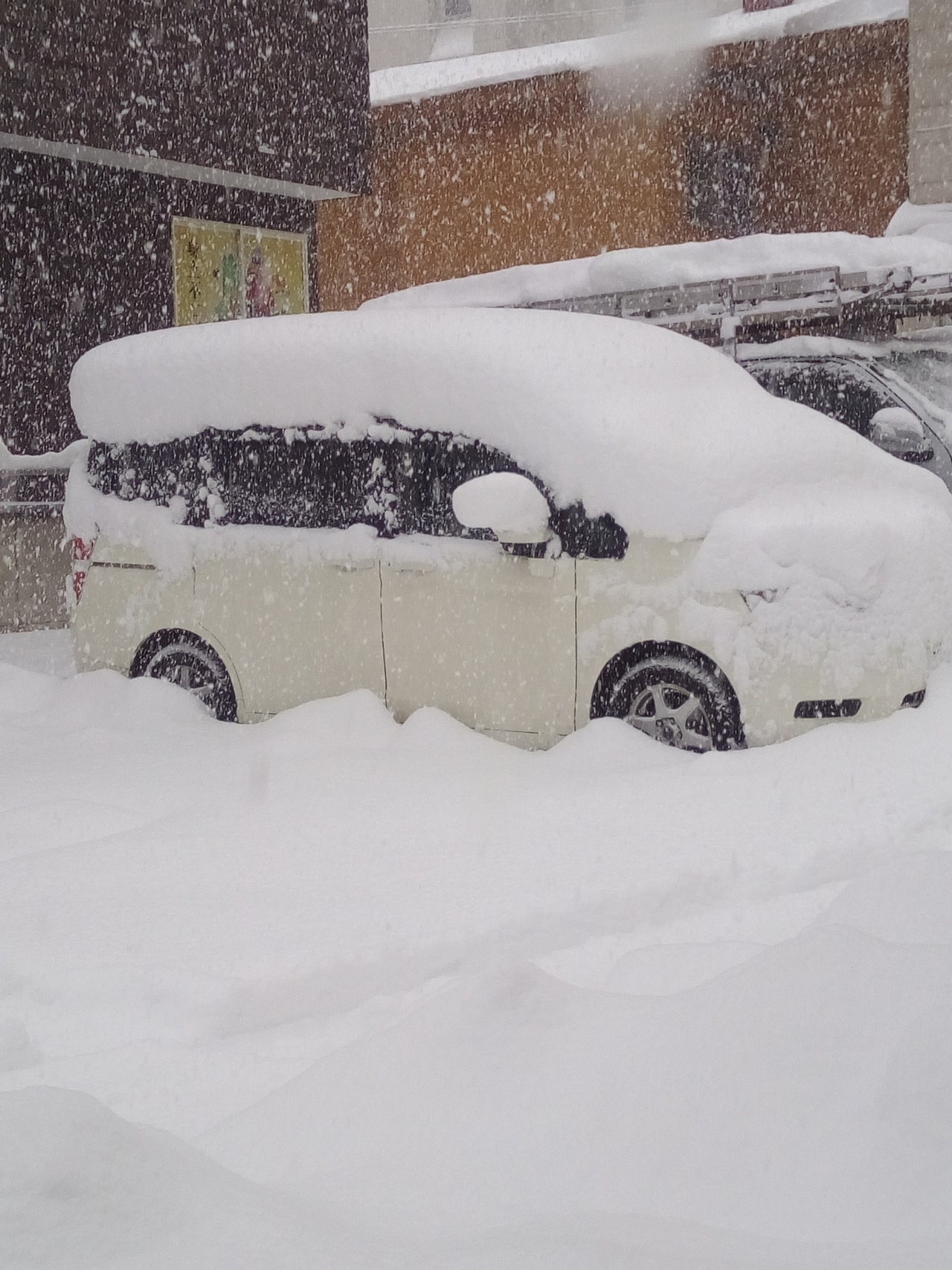 雪に埋もれた自動車